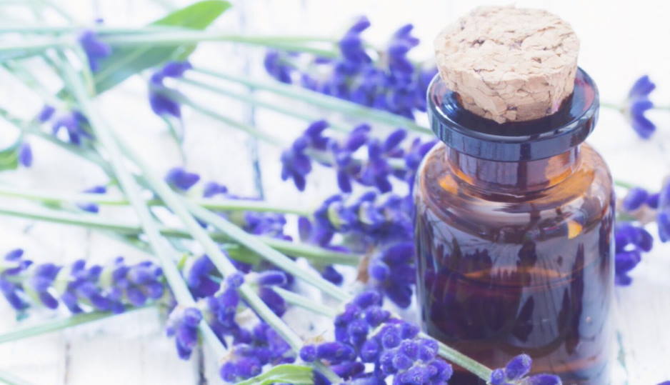 lavender essential oil